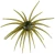 Hags Bait Prickly Pear Jr, 9.9mm Guadalupe Haze