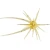Hideup Coike Mini, 8mm Edge Shrimp 3pk