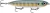 Rapala - Joystick 110 - 4-3/8in 5/8oz Bluegill