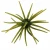 Head Hunter - Spider Monkey Urchin - 19mm Electric Pumpkin
