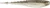 Rapala - Crush City Freeloader - 3.25in 6pk Shad