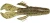Rapala - Knuckle Bug - 3-3/4in 6pk Watermelon Red