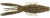 Rapala - Crush City Bronco Bug - 3.25in 6pk Watermelon Red