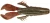 Rapala - Knuckle Bug - 3-3/4in 6pk Chile Craw