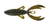 Big Bite Baits 4" Rojas Fighting Frog 7pk - Bama Bug