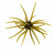 Head Hunter 25mm Spider Monkey - Green Pumpkin