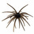 Head Hunter 25mm Spider Monkey - Purple Shadow