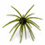 Head Hunter 25mm Spider Monkey - Watermelon Neon