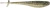 CrushCity Mooch Minnow, 4.5'' Black Gold 5pk