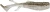 CrushCity Sizzle Shad, 2.25'' Gizzard Shad 6pk