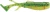 CrushCity Sizzle Shad, 2.25'' Green Perch 6pk