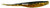 DOA CAL Series Jerk Bait, 4'' Gold Rush 12pk