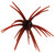 Hags Bait Prickly Pear, 19mm Red Dirt Renegade