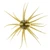 Hideup Coike Fullcast, 23mm Watermelon Seed
