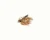 Missile Bait Micro HD Ftball, 3/8oz Brown/PB&J