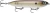Rapala Joystick 110, 5/8oz 4.375'' Matte Shad