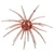 Baitfuel 9mm Nano Spike 6pk - Mayfly
