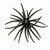 HeadHunter Spider Monkey, 20MM Dark Nite