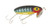 Arbogast G620-05 Jointed Jitterbug - Topwater Lure, 2 1/2", 3/8 oz - G620-05 Arbogast G620-05 Jointed Jitterbug - Topwater Lure, 2 1/2", 3/8 oz - G620-05