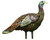Avian-X AVX8006 8006 LCD Lookout - Hen Turkey Decoy, Full Body - AVX8006