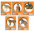 Champion 45781 Critter Series - Targets, 11"x14", 10 Pk - 45781