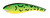 Cordell CD569 Wally Diver Crankbait - 2 1/2", 1/4 oz, Firetiger, Floating - CD569 Cordell CD569 Wally Diver Crankbait - 2 1/2", 1/4 oz, Firetiger, Floating - CD569
