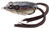LiveTarget FGH45T503 Frog Hollow - Body Topwater Lure, 1 3/4", #1 Hook - FGH45T503