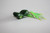 Scum Frog SFP-201 Popper Topwater - Frog, 2", 5/16 oz, Green - SFP-201
