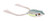 Spro SBEF60NSHD Dean Rojas Bronzeye - Frog Jr., 2 3/8", 1/2 oz, Nasty - SBEF60NSHD