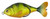 Lunkerhunt SHADPRF04 3.25" Shad - Propfish - Floating, 1/2 oz, Perch - SHADPRF04