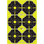 Allen 15355 Ez-Aim Splash - Non-Adhesive 6" Bullseye, 18" x 12" - 15355