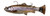Savage Gear 3388 3D Pulse Tail - Trout RTF 6" Ghost Trout - 3388