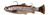 Savage Gear 3389 3D Pulse Tail - Trout RTF 6" Trout - 3389