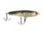 Googan Squad 10-01-GGS-10014D - Revolver 4 1/4" Native Shad #2 1/2 - 10-01-GGS-10014D