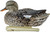 Avian-X AVX-AVX8085 Topflight - Gadwall Ducks 6Pk (2-High-head - AVX-AVX8085 Avian-X AVX-AVX8085 Topflight - Gadwall Ducks 6Pk (2-High-head - AVX-AVX8085