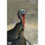 Birchwood Casey - Case Of 6 Dirty Bird Turkey 12x18in 8pk - BC35403