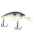 Berkley BHBMB4-PPG Money Badger - Hardbait, 1 1/2", 1/5 oz, Purple - BHBMB4-PPG