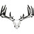 Raxx Crossbow Hanger Whitetail Skull -