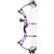 Diamond Prism Bow Package Purple 18-30 in. 5-55 lbs. RH - B12708