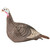 Hunters Specialties Strut-Lite Turkey Decoy Hen - HS-STR-100001