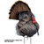 Primos Photoform Turkey Decoy Strutter - 69072