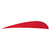Trueflight Parabolic Feathers Red 4 in. RW 100 pk. - 11503