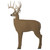 GlenDel Buck Target - 71000