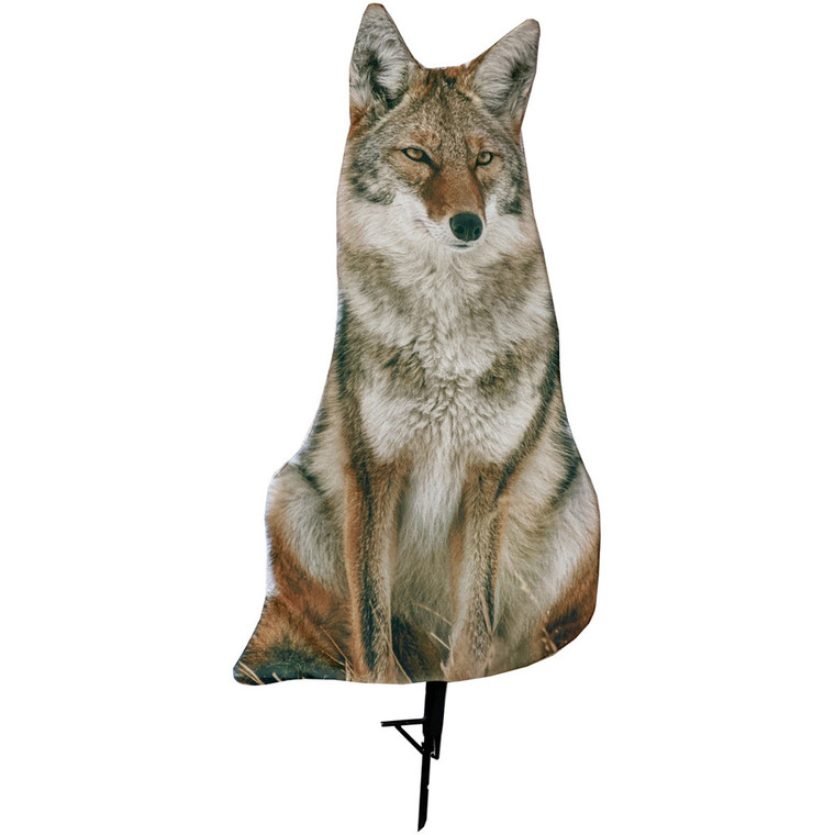 Montana Decoy Sitting Coyote Decoy - 48