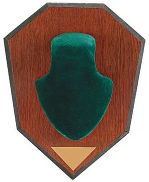 Allen - Antler Mount Kit - Green - 562