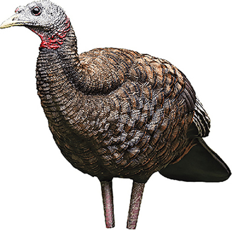Avian X Decoys - Breeder Hen Turkey Decoy - Lcd - AVX-AVX8008 Avian X Decoys - Breeder Hen Turkey Decoy - Lcd - AVX-AVX8008