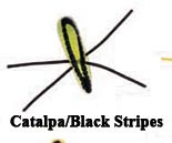 Betts - Grunt Grub Spin-nickel - 1/16oz Catalpa/blk Str - 022GRRL-21N