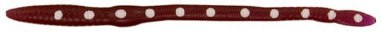 Creme - Rigged Scoundrel Worm - 6in Purple/wht Dots - 170-3S