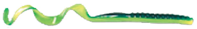 Culprit - Original Worm - 7.5in 18pk Green Shad - C720-03