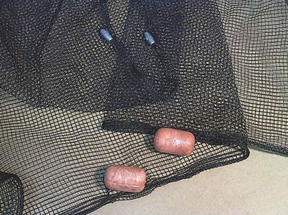 Frabill - Minnow Seine Net - 4x20ft 1/4in Black Mesh - 2156